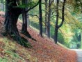 /album/krajina1/hukvaldy-1-jpg/